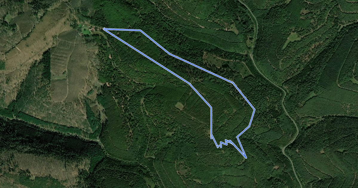Маршрут Rundwanderweg Forsthaus Annweiler 3 на спутниковом снимке