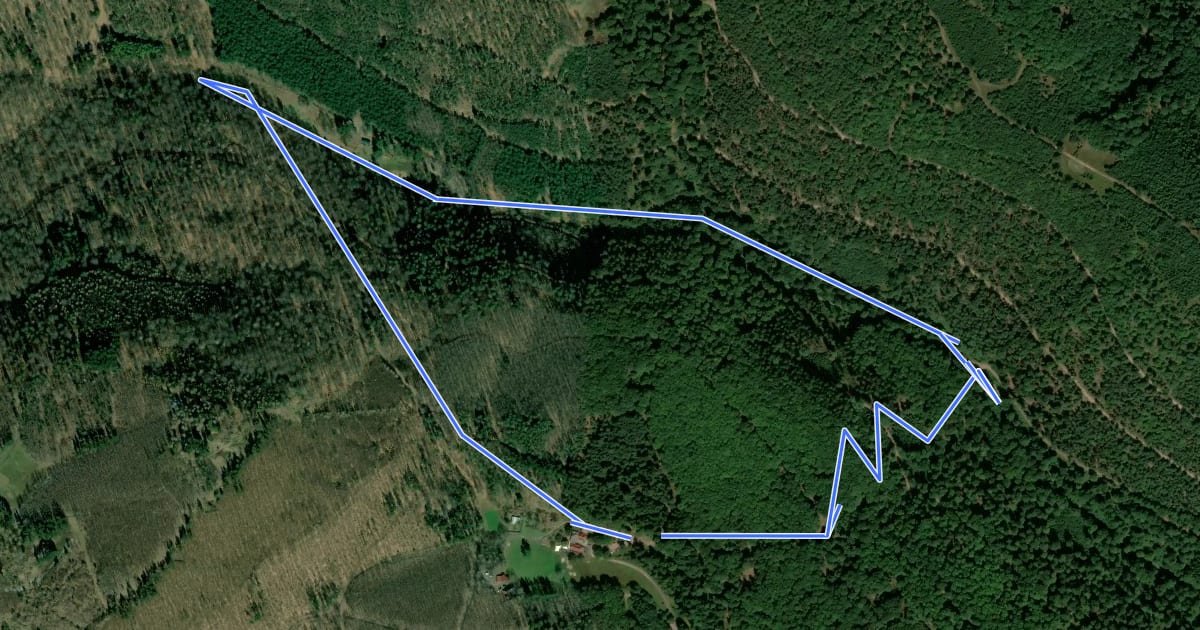 Маршрут Rundwanderweg Forsthaus Annweiler 5 на спутниковом снимке