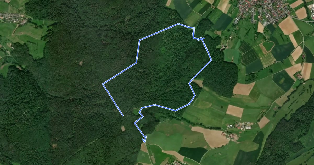 Маршрут Rundwanderweg Fränkisch-Crumbach Heilsruhe 3: Im-Röhr-Weg на спутниковом снимке