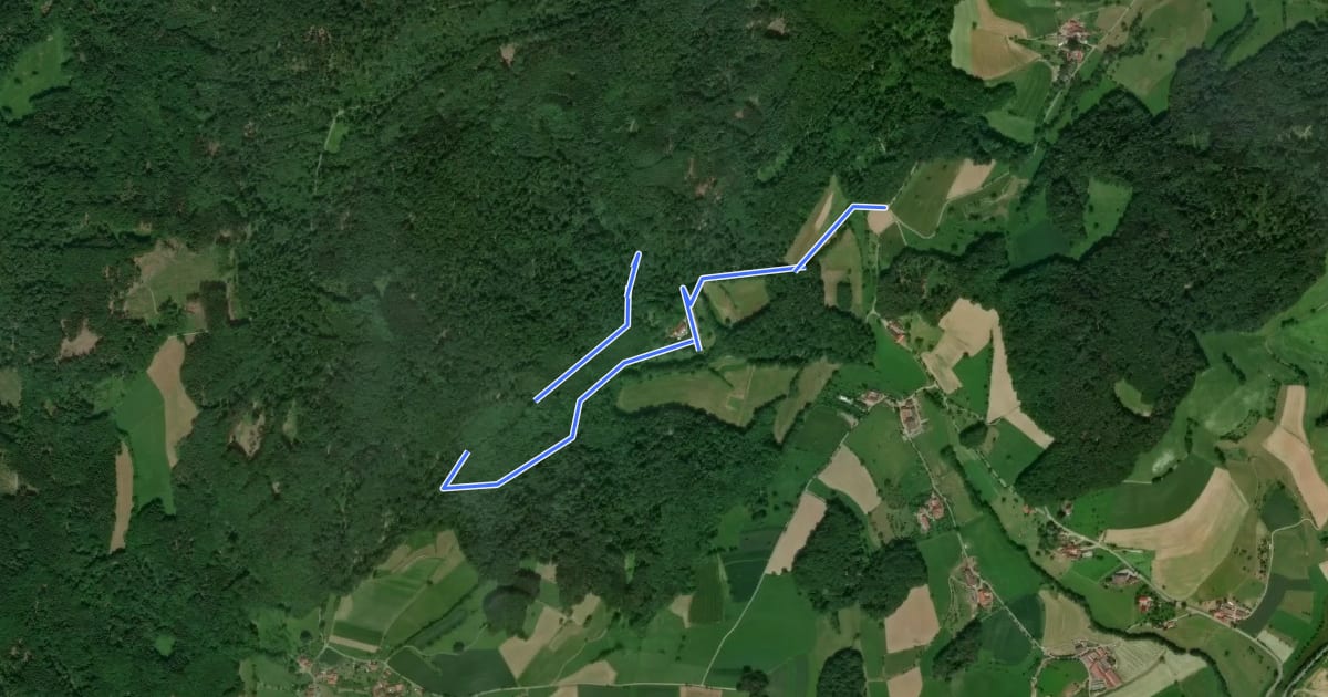 Маршрут Rundwanderweg Fränkisch-Crumbach Rodenstein 1: Rodenstein-Weg на спутниковом снимке