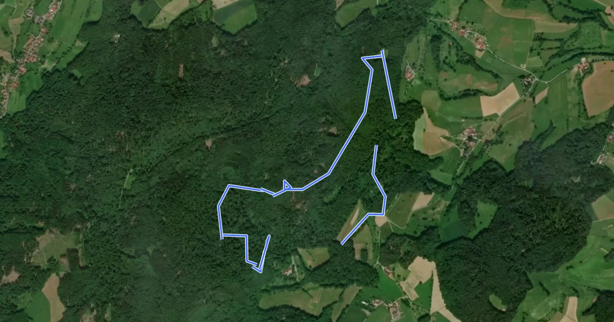 Маршрут Rundwanderweg Fränkisch-Crumbach Rodenstein 3: Höllerheck-Weg на спутниковом снимке