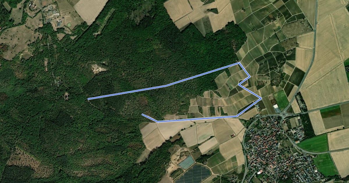 Маршрут Rundwanderweg Frei-Laubersheim 20 на спутниковом снимке