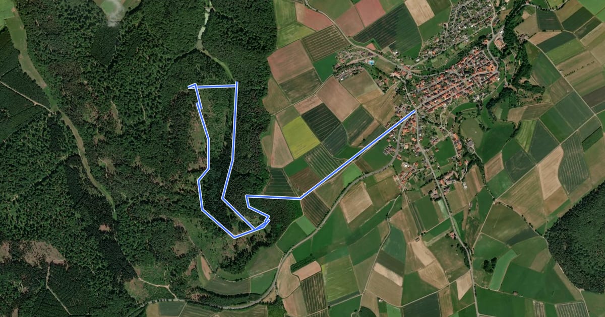 Маршрут Rundwanderweg Freienhagen 4 на спутниковом снимке