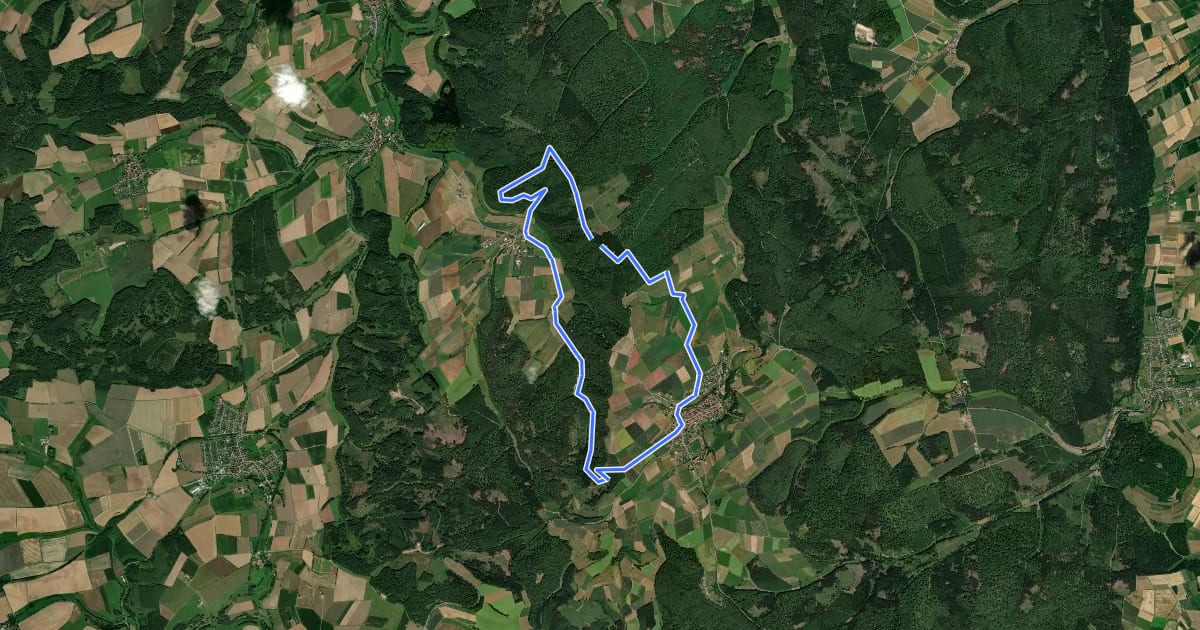 Маршрут Rundwanderweg Freienhagen 5 на спутниковом снимке