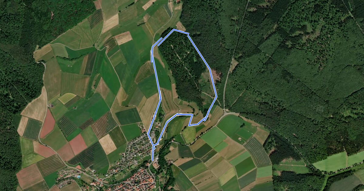 Маршрут Rundwanderweg Freienhagen 7 на спутниковом снимке