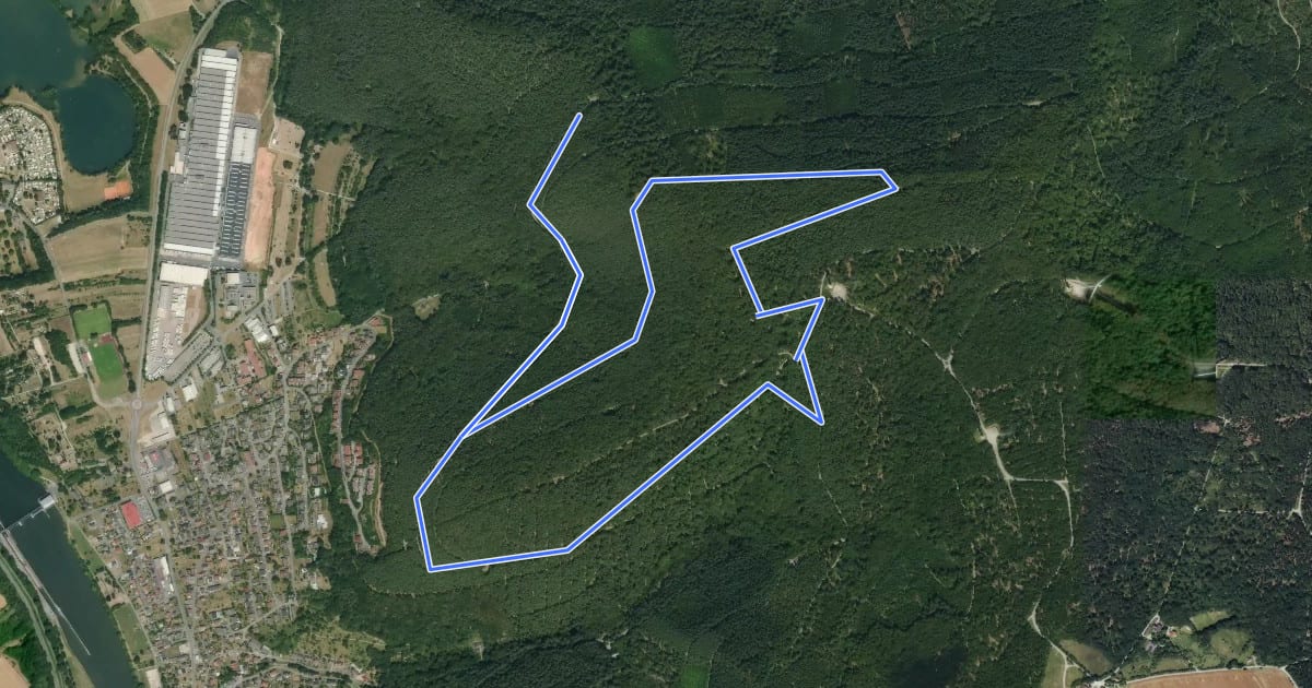 Маршрут Rundwanderweg Freudenberg, Tannenbuckel на спутниковом снимке