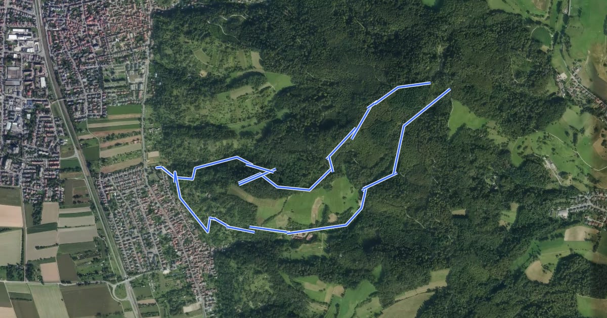 Маршрут Rundwanderweg Friedhof Sulzbach 1: Bannholz-Weg на спутниковом снимке