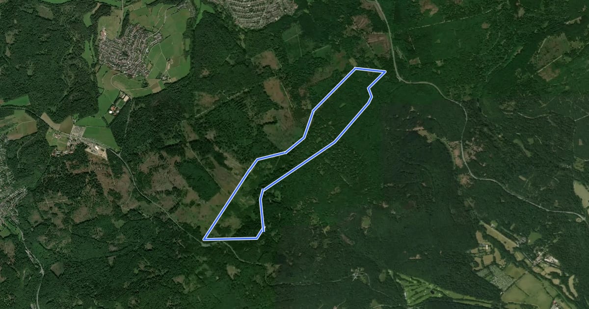 Маршрут Rundwanderweg Fuchs на спутниковом снимке