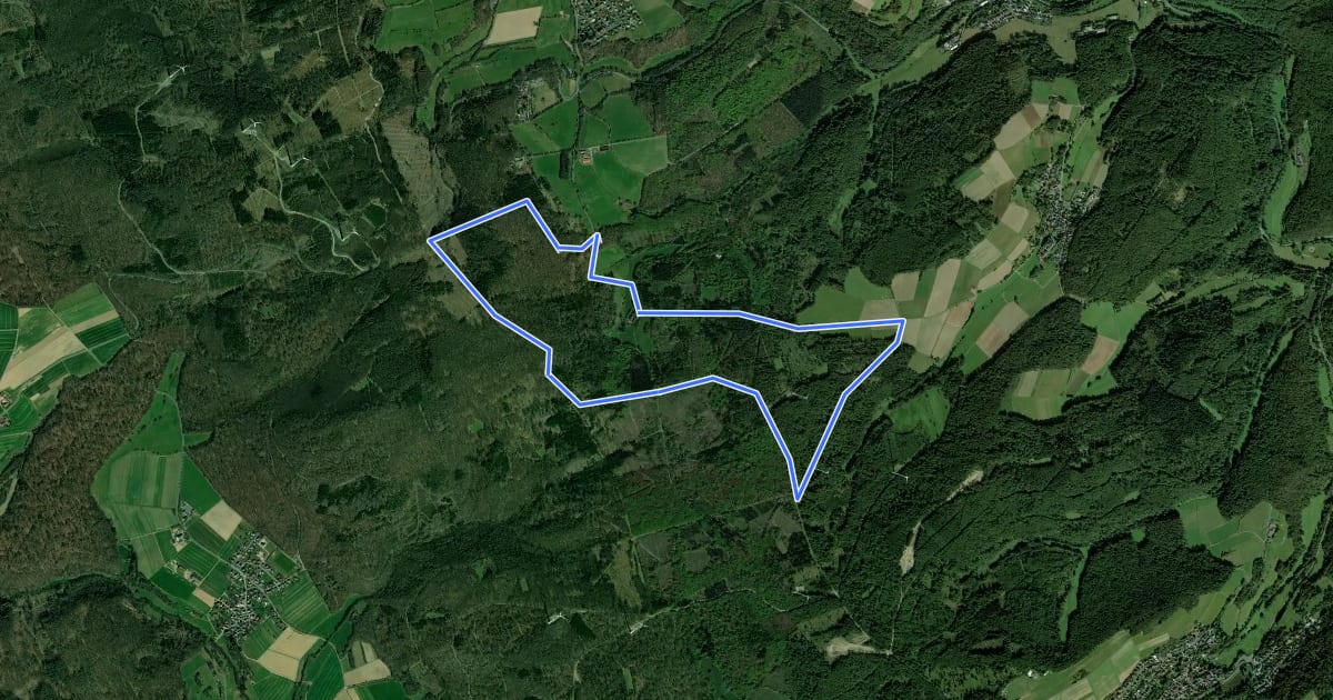 Маршрут Rundwanderweg Fuchs Hasselbach на спутниковом снимке
