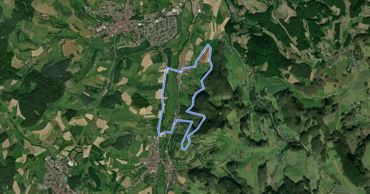Маршрут Rundwanderweg G 1: Schnellerts-Weg на спутниковом снимке