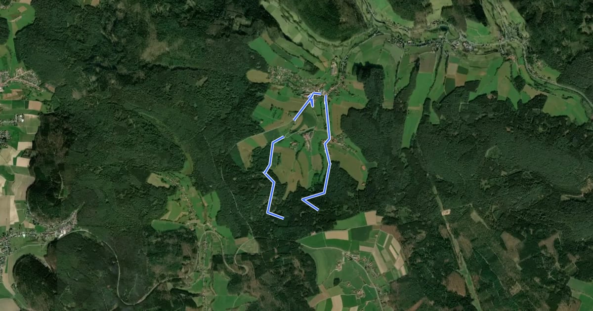 Маршрут Rundwanderweg Güttersbach 1: Strieth-Weg на спутниковом снимке