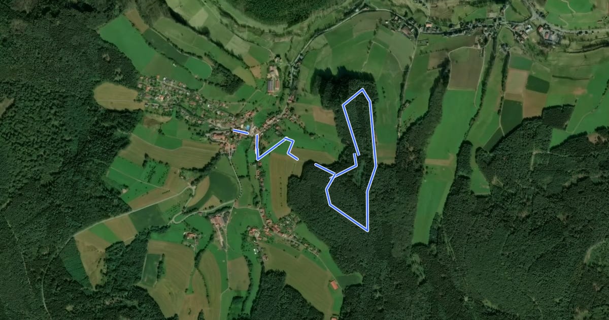 Маршрут Rundwanderweg Güttersbach 2: Vogelherd-Weg на спутниковом снимке