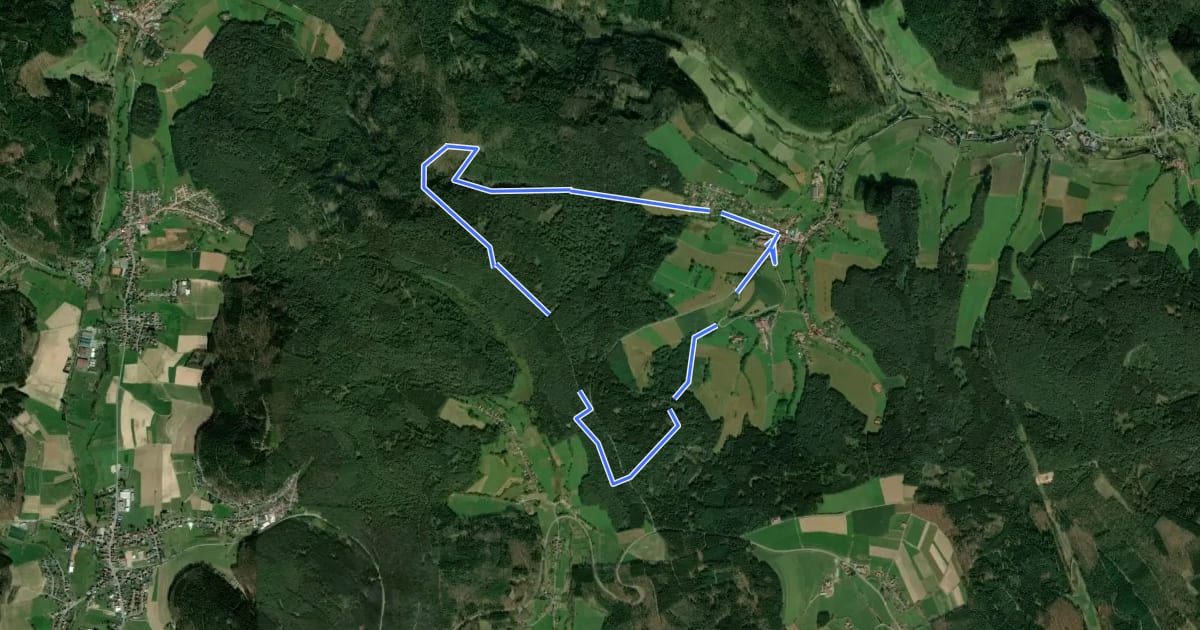 Маршрут Rundwanderweg Güttersbach 4: Mornsbach-Weg на спутниковом снимке