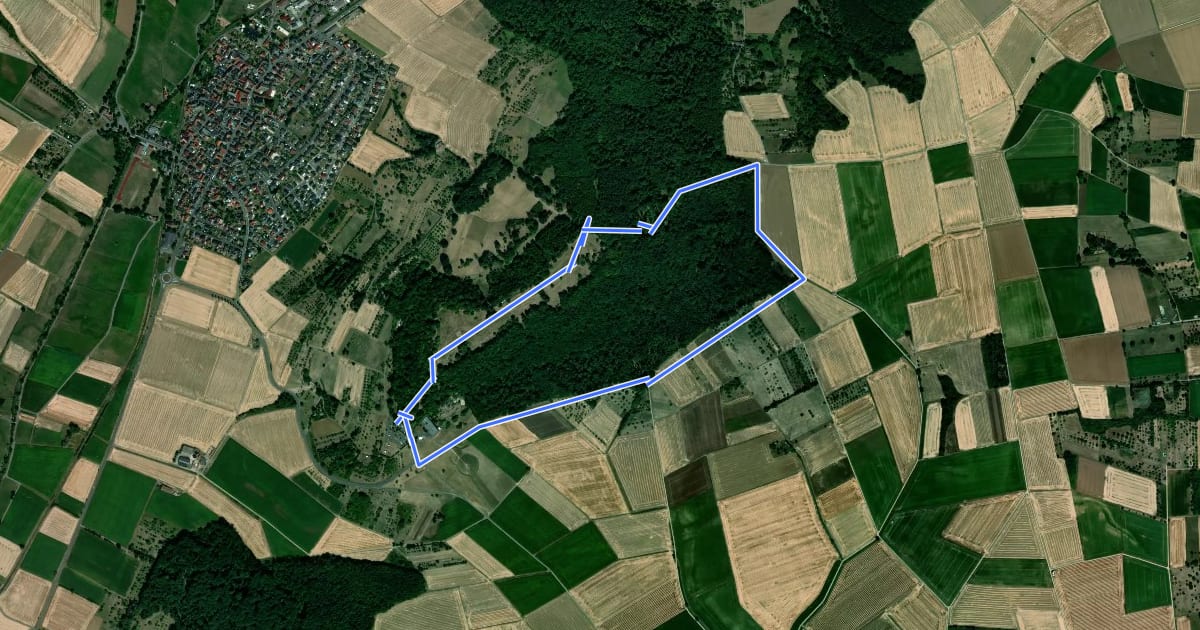 Маршрут Rundwanderweg G1 на спутниковом снимке