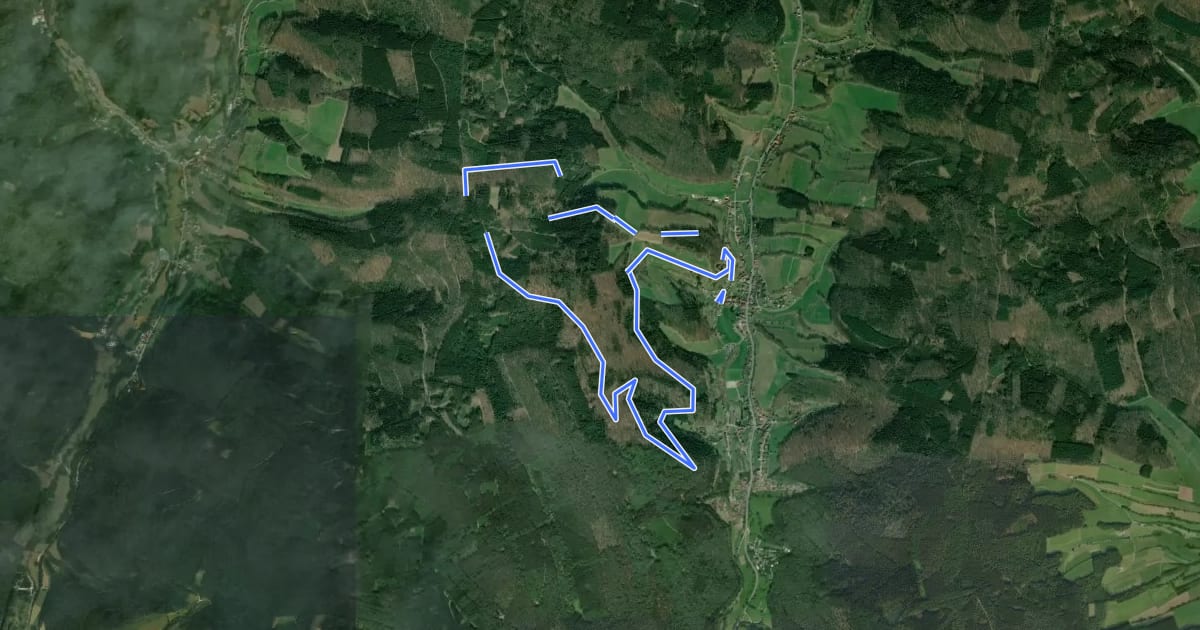 Маршрут Rundwanderweg Gammelsbach 4 на спутниковом снимке