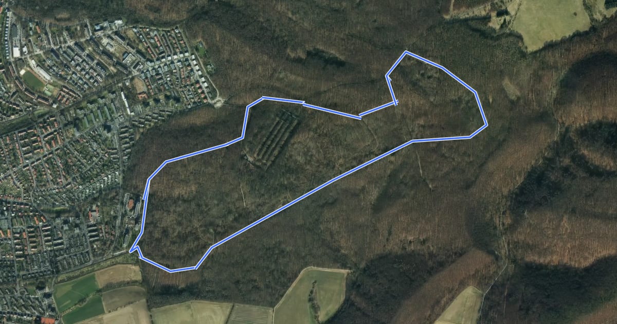 Маршрут Rundwanderweg Geismar - Tour grünes Dreieck на спутниковом снимке