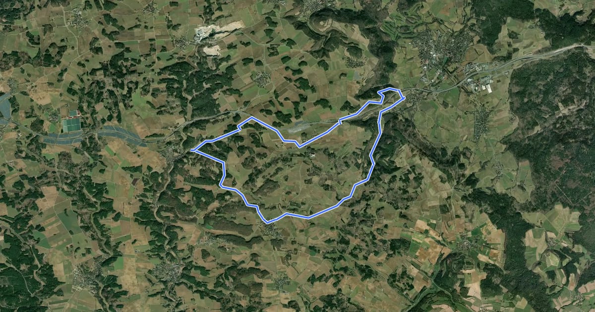 Маршрут Rundwanderweg gelber Ring на спутниковом снимке