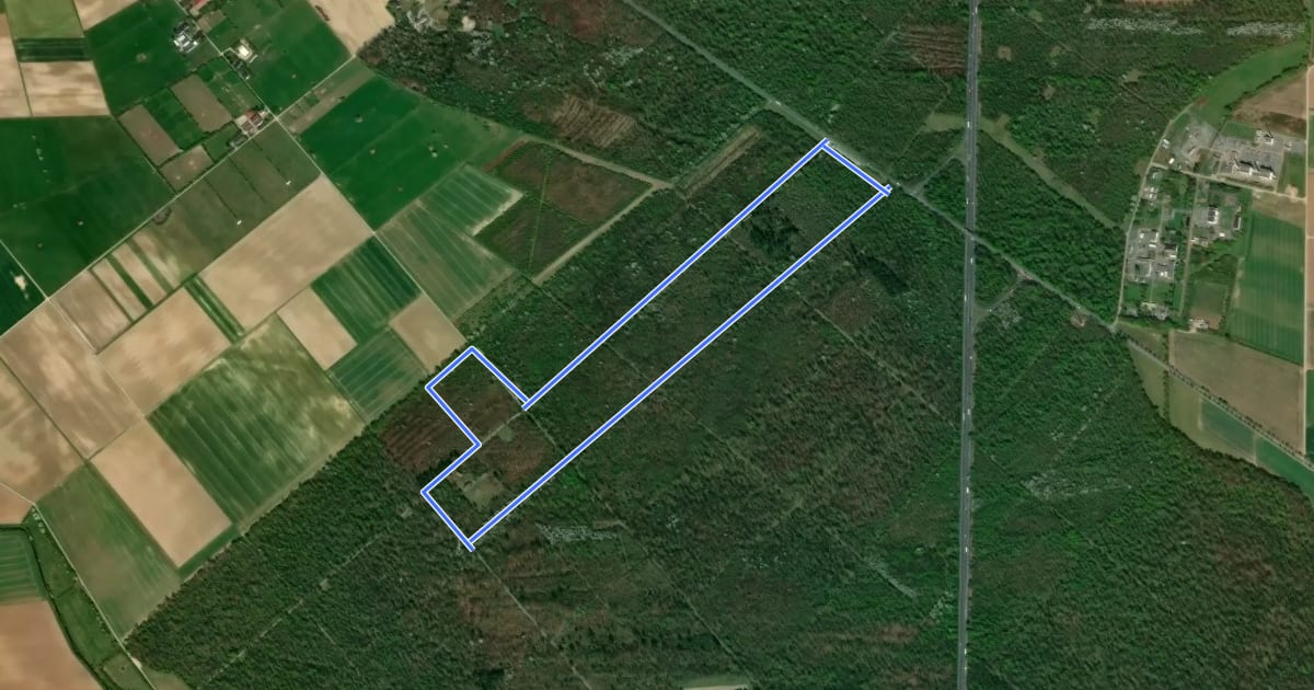 Маршрут Rundwanderweg Gernsheim Stockweg 3: Veneluth-Schneisen-Weg на спутниковом снимке