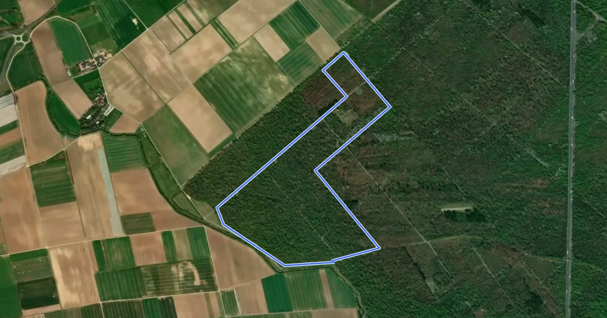 Маршрут Rundwanderweg Gernsheim Stockweg 5: Winkelbach-Weg на спутниковом снимке