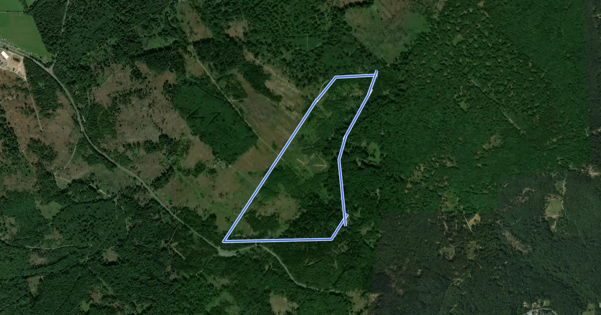 Маршрут Rundwanderweg Geweih на спутниковом снимке
