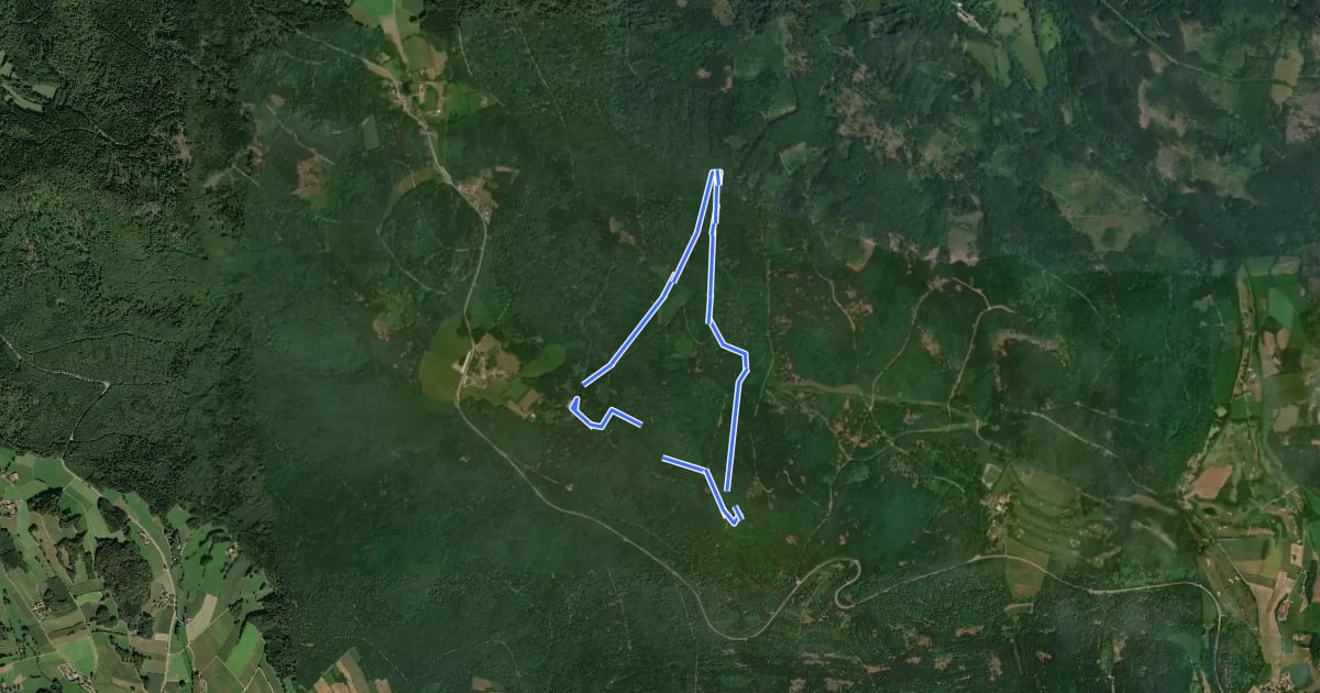 Маршрут Rundwanderweg Gibacht на спутниковом снимке