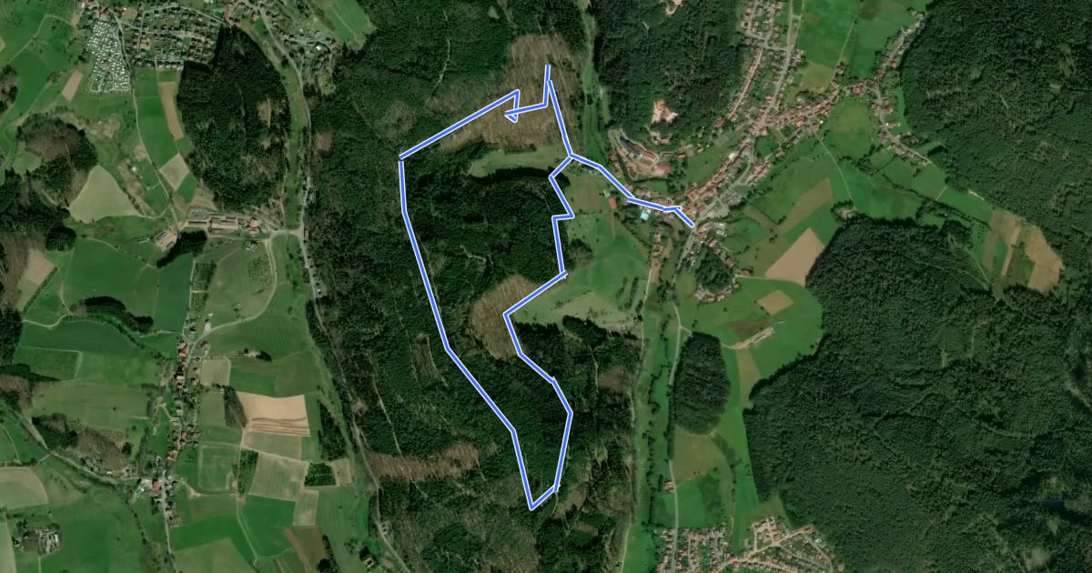 Маршрут Rundwanderweg Grasellenbach 3: Hammelberg-Weg на спутниковом снимке