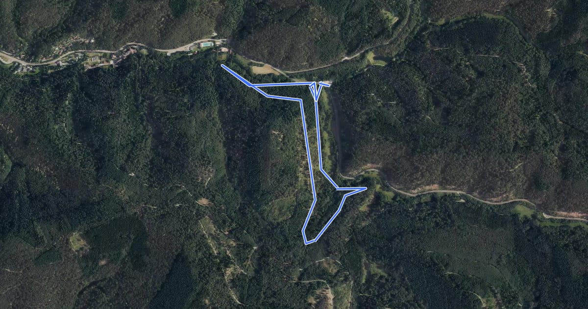 Маршрут Rundwanderweg Großer Stein 1: Talweg "Katzenbach" на спутниковом снимке