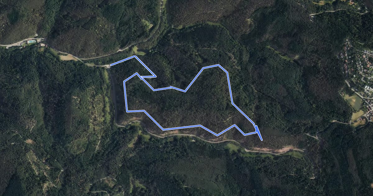 Маршрут Rundwanderweg Großer Stein 2 на спутниковом снимке