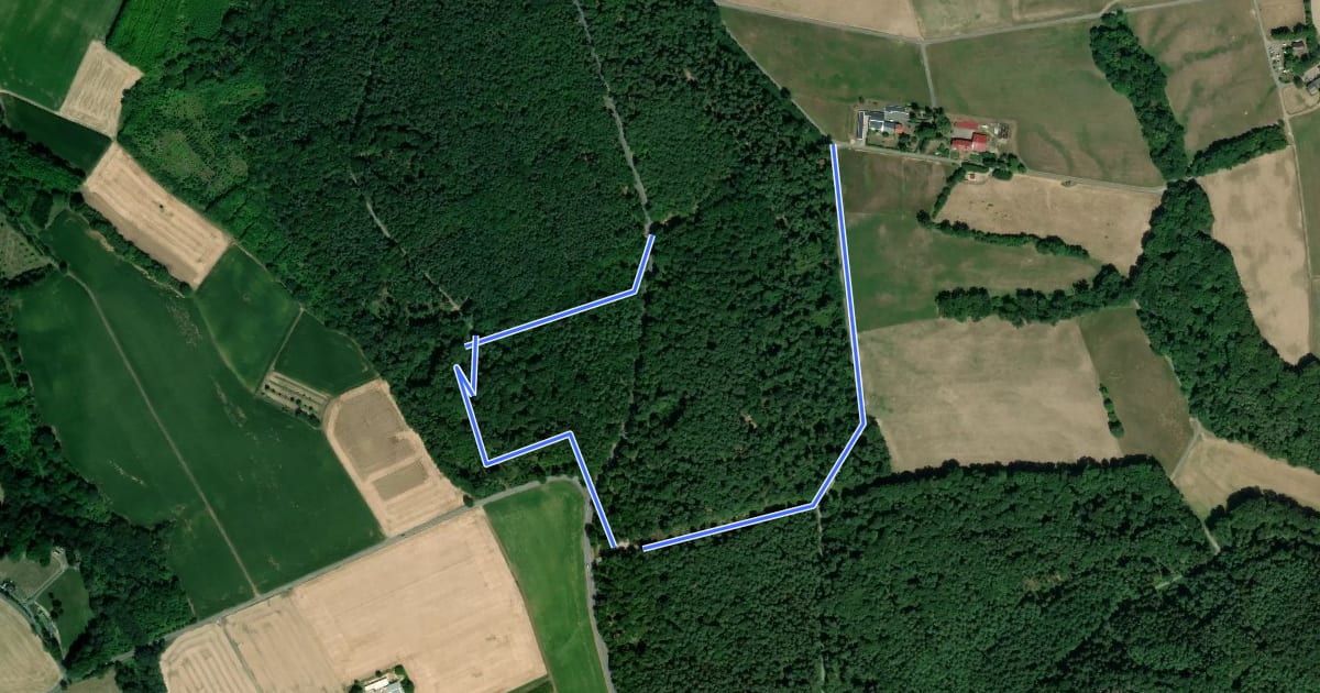 Маршрут Rundwanderweg Großostheim Hesselburg 1: Marien-Grotten-Weg на спутниковом снимке