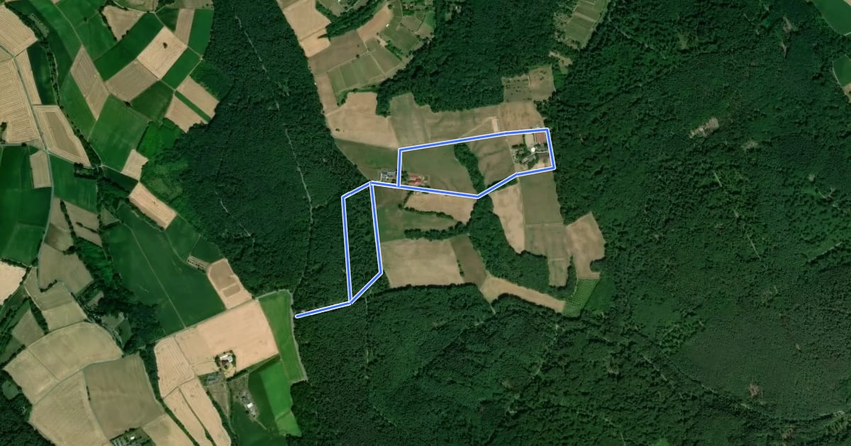 Маршрут Rundwanderweg Großostheim Hesselburg 2: Wendelinus-Weg на спутниковом снимке