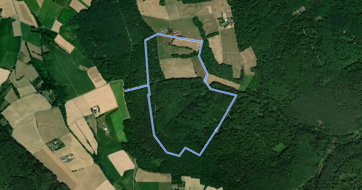 Маршрут Rundwanderweg Großostheim Hesselburg 3: Farngrund-Weg на спутниковом снимке
