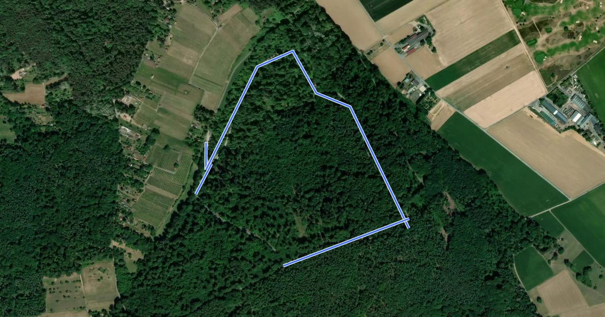 Маршрут Rundwanderweg Großostheim Reischklinge 1: Mainblick-Weg на спутниковом снимке