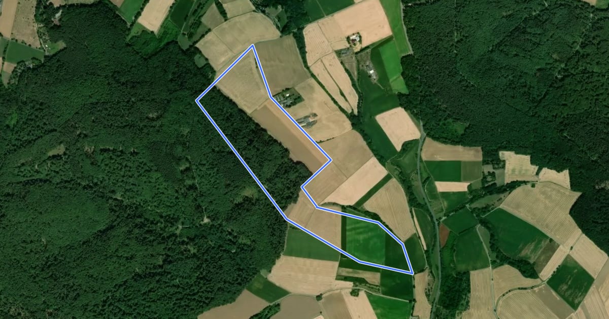 Маршрут Rundwanderweg Großostheim Sausteige 3: Mutter-Gottes-Buchen-Weg на спутниковом снимке