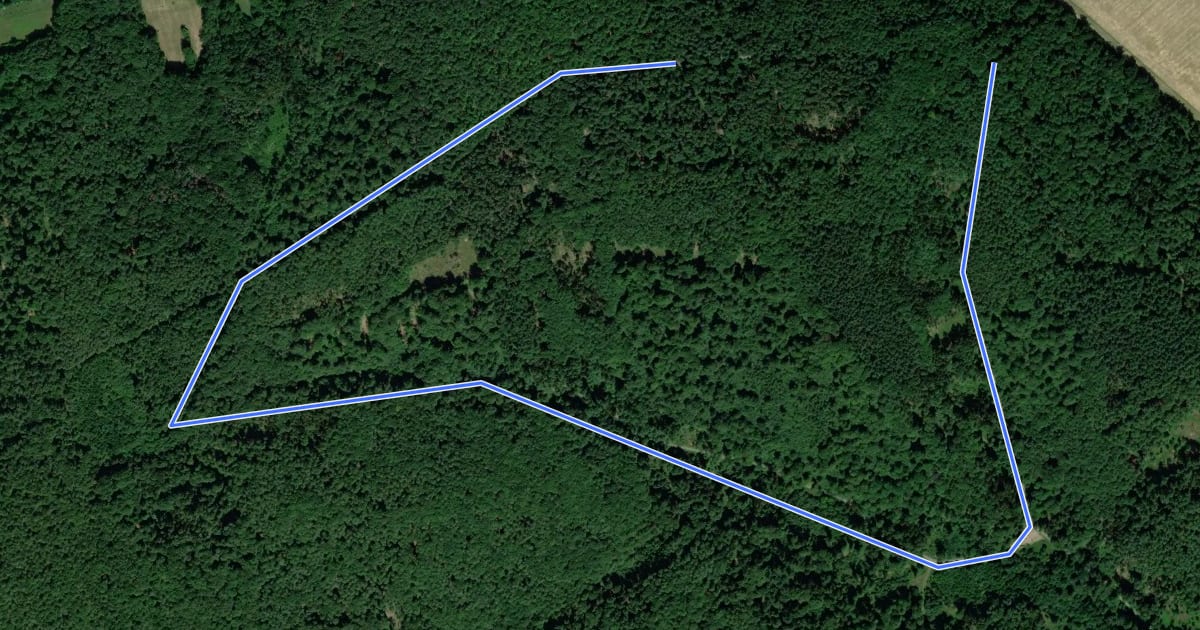 Маршрут Rundwanderweg Großostheim Sausteige 4: Ameisenloch-Weg на спутниковом снимке