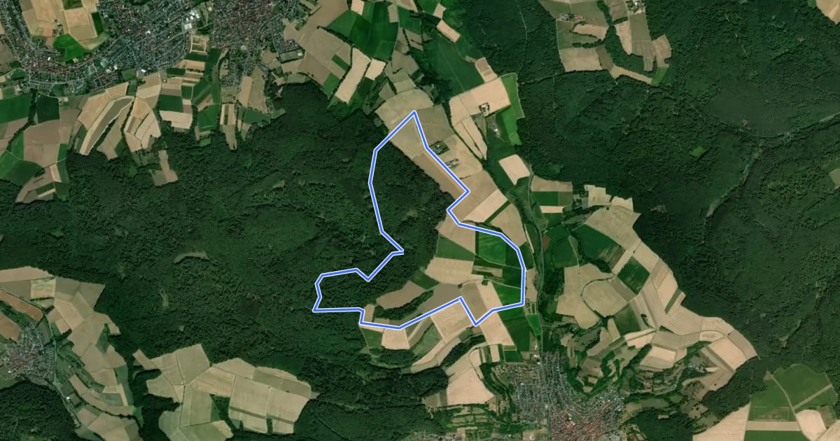 Маршрут Rundwanderweg Großostheim Sausteige 5: Tannengraben-Weg на спутниковом снимке