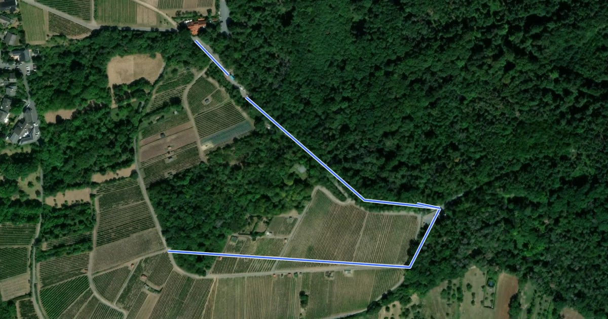 Маршрут Rundwanderweg Groß-Umstadt Am Hainrichsberg 2: Weinlehrpfad на спутниковом снимке