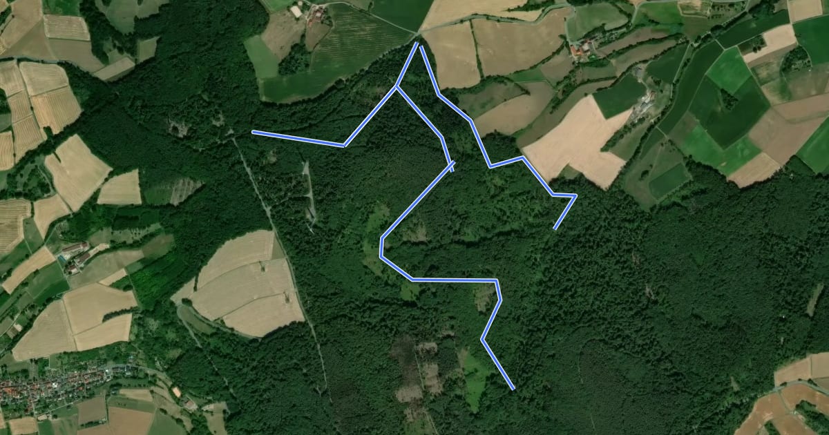 Маршрут Rundwanderweg Groß-Umstadt Binselberg 1: Hegwald-Weg на спутниковом снимке