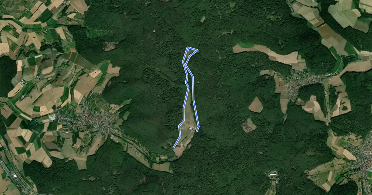 Маршрут Rundwanderweg Groß-Umstadt Kellergrund 7: Rund ums Sausteigetal на спутниковом снимке
