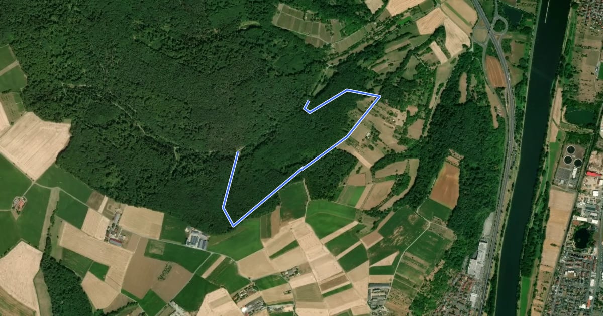 Маршрут Rundwanderweg Großwallstadt Frohnhalle 1: Dörnerrain-Weg на спутниковом снимке