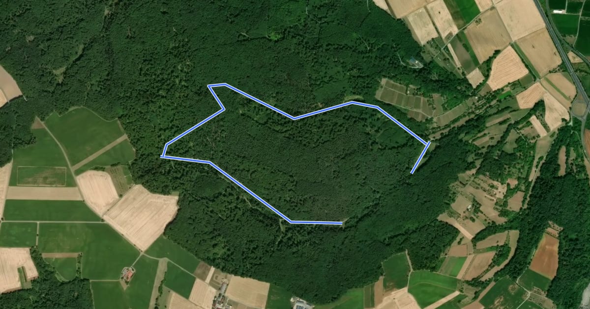 Маршрут Rundwanderweg Großwallstadt Frohnhalle 2: Kirchenhöhe-Weg на спутниковом снимке