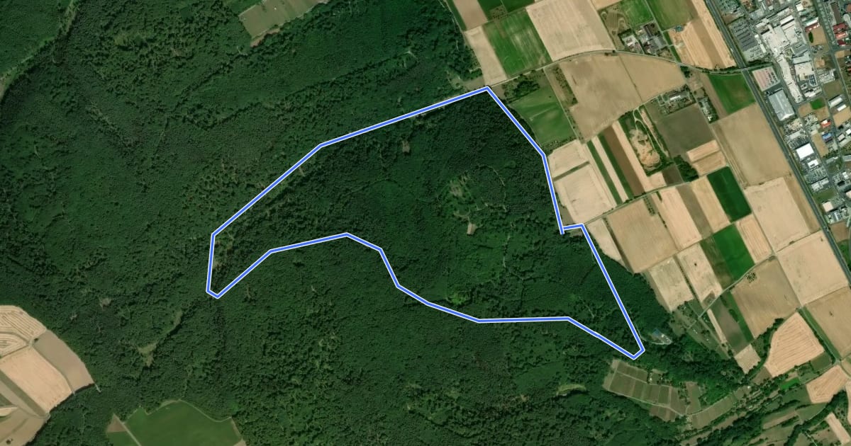 Маршрут Rundwanderweg Großwallstadt Neidberg 1: Neidberg-Weg на спутниковом снимке