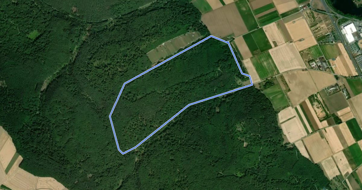 Маршрут Rundwanderweg Großwallstadt Neidberg 2: Litzeltal-Weg на спутниковом снимке