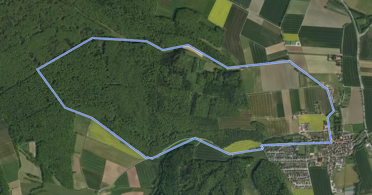 Маршрут Rundwanderweg "Hörlerstraße - Schalkstal" WE2 на спутниковом снимке