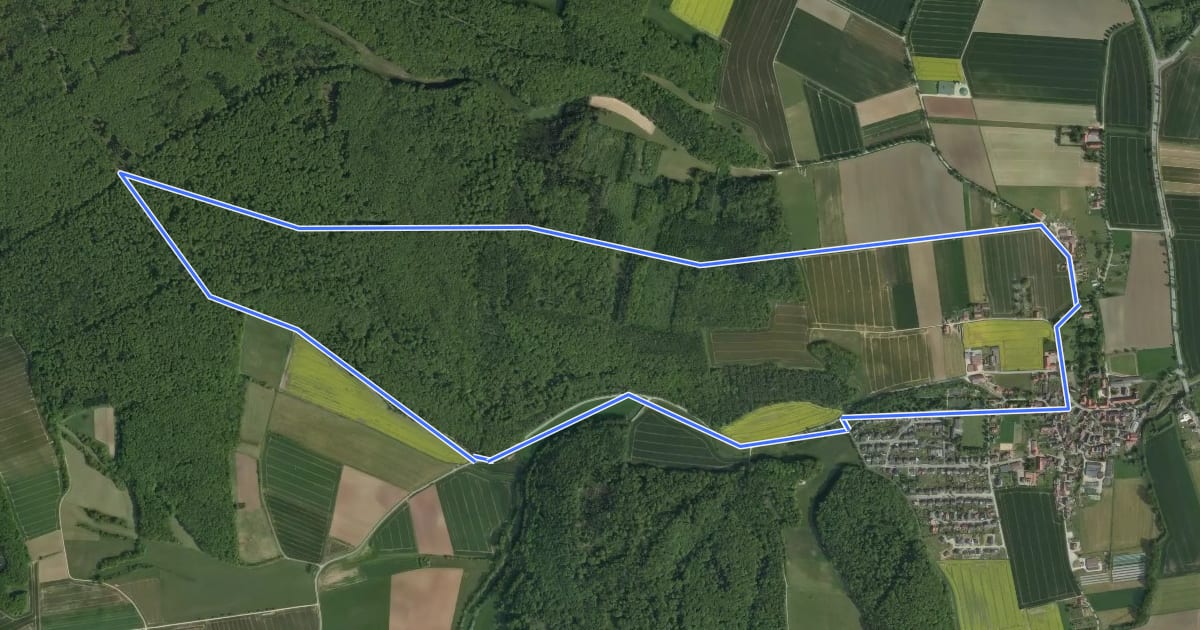 Маршрут Rundwanderweg "Hörlerstraße - Wanneweg" WE3 на спутниковом снимке
