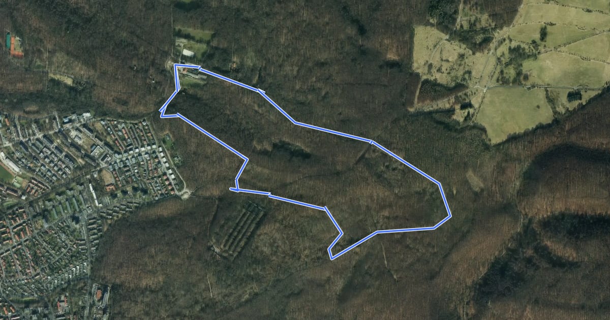 Маршрут Rundwanderweg Hainholzhof/Kehr - Tour blauer Kreis на спутниковом снимке
