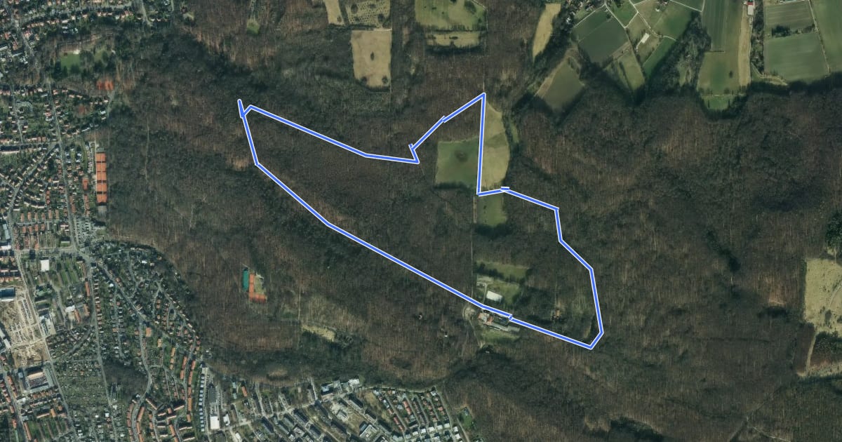Маршрут Rundwanderweg Hainholzhof/Kehr - Tour grüner Kreis на спутниковом снимке