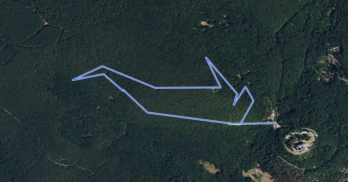 Маршрут Rundwanderweg Hambacher Schloss 2 на спутниковом снимке