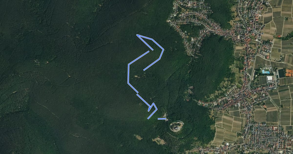 Маршрут Rundwanderweg Hambacher Schloss 3 на спутниковом снимке