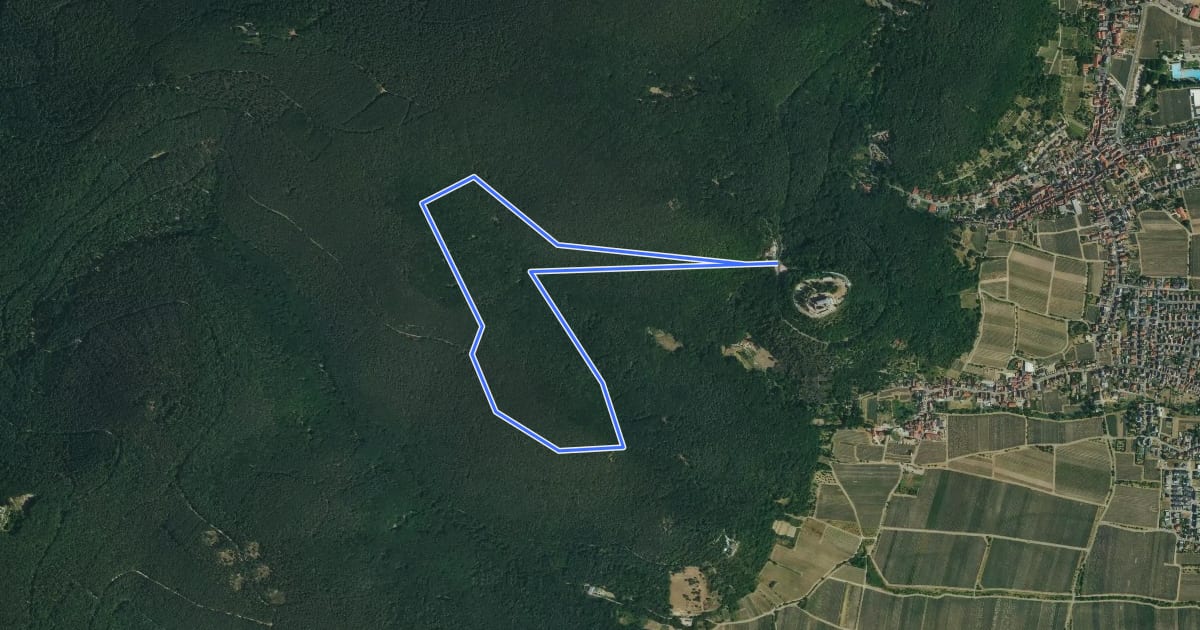 Маршрут Rundwanderweg Hambacher Schloss 4 на спутниковом снимке