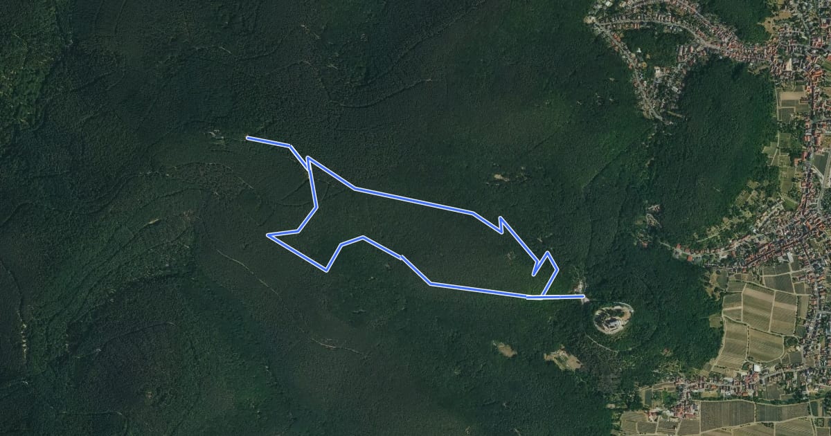 Маршрут Rundwanderweg Hambacher Schloss 5 на спутниковом снимке
